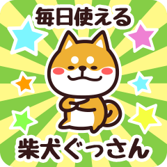 Petit Shiba Gussan (Everyday)