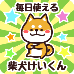 Petit Shiba Keikun (Everyday)