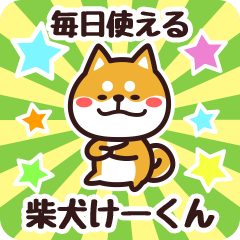 Petit Shiba Keekun (Everyday)