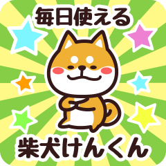 Petit Shiba Kenkun (Everyday)