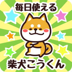 Petit Shiba Koukun (Everyday)