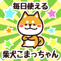 Petit Shiba Komacchan (Everyday)