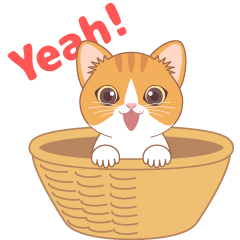 Moving Lovely Kitty