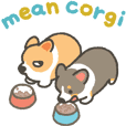 Mean corgi animation sticker