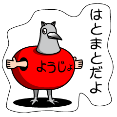 HATOMATO- pigeonised tomato