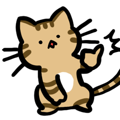 鮮明的動物系列/棕虎斑猫