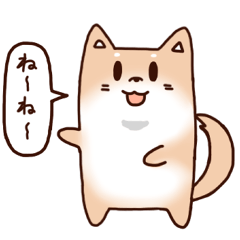 Japanese Cute Shiba Dog