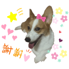 溜溜寶貝♥️