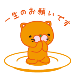 きよら 寝冷えネコ Line スタンプ Line Store