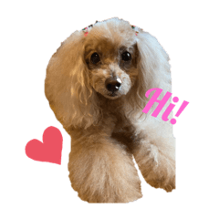 Mimi_stickers