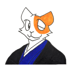 samurai of cat