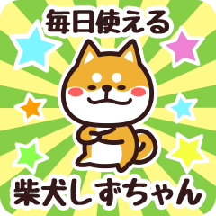 Petit Shiba Shizuchan (Everyday)