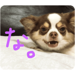 Ask_20200814143318