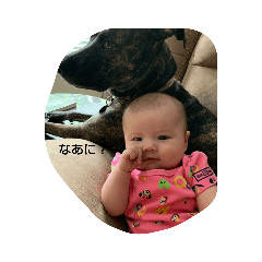 yukari_20200814110719