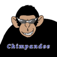 チンパンディーの毎日 二日目