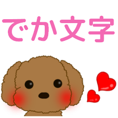 cute toy poodle big letter