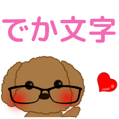 cute toy poodle big letter glasses ver