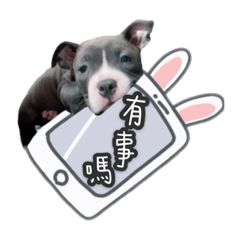 肉噗噗