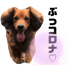 haruna_20200814152310