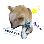 kashiko_20200814171144