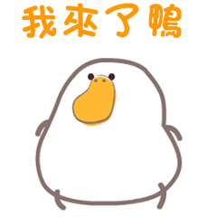 Daily life of funny rice ball duck