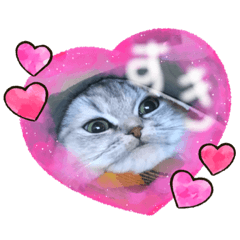 LOVE'san