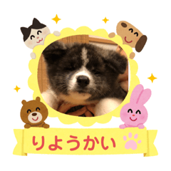 akiko_20200815094309