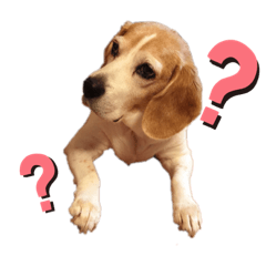 Beagle-Bell sticker