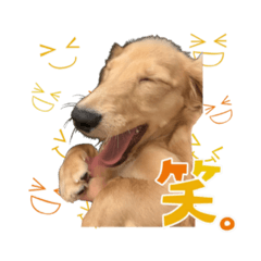 akiko_20200814182024