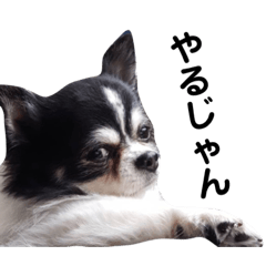 seira_20200815003916