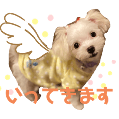 emi_20200815085353 – LINE stickers | LINE STORE