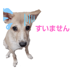 Ryuki_20200814201028