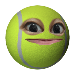 關於胡胡胡ㄉ網球