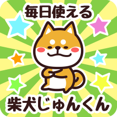 Petit Shiba Junkun (Everyday)