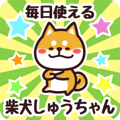 Petit Shiba Shuuchan (Everyday)