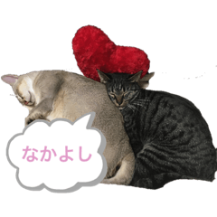 hana_20200815111421