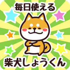 Petit Shiba Shoukun (Everyday)