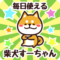 Petit Shiba Suuchan (Everyday)