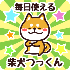 Petit Shiba Tukkun (Everyday)