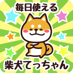 Petit Shiba Tecchan (Everyday)