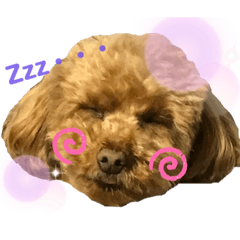 maimaichery_20200815114001