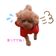 maimaichery_20200815124504