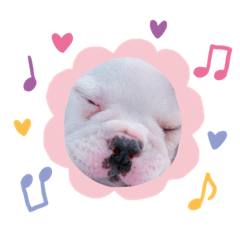 ayumi_20200815134908