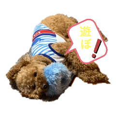 kabu-chan_20200815151155