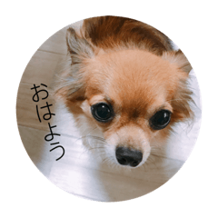 asuka_20200815155317