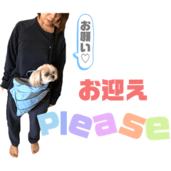 Arisa_20200815160800