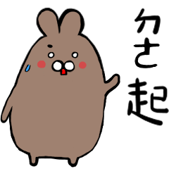 Brown Fat Rabbit