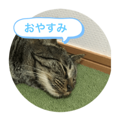 hana_20200815184351