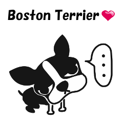 Boston Terrier Sticker!