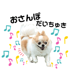 Haruna_20200816041904